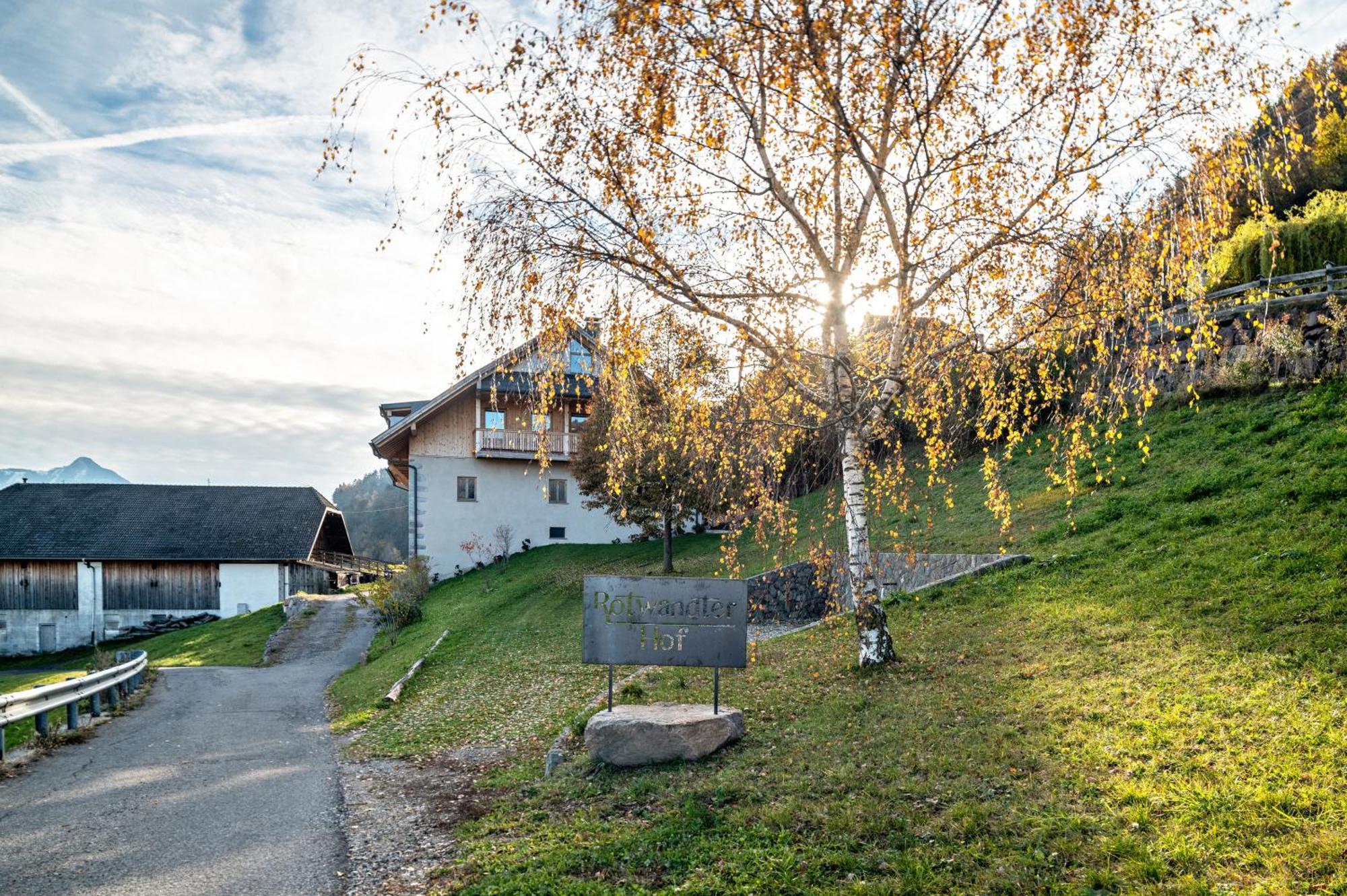 Rotwandterhof Wohnung Bienenstock Barbiano  Exterior foto